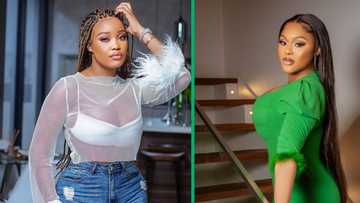 Inno Morolong and Eva Modika accused of being ANC officials' dolls: "It’s clear they provide nyash"