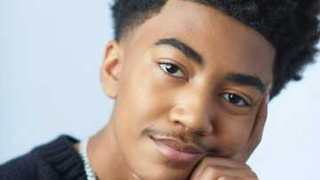 Miles Brown's net worth, age, siblings, parents, movies, education, profiles