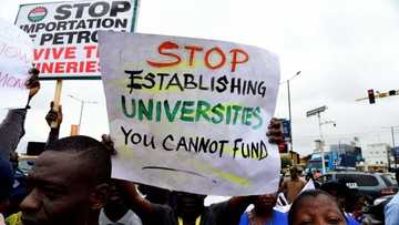 Nigerian university lecturers end eight-month strike over pay