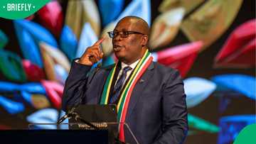 Panyaza Lesufi demands respect for ANC Johannesburg leadership, South Africans debate