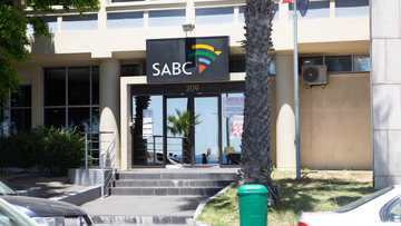 SABC will not broadcast Cricket World Cup, SA disappointed but not shocked: "We didn't expect much"