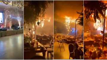 Commotion as fireworks disrupt couple's wedding, clip has people busting