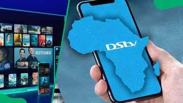DStv EasyView channels, packages, and prices: the complete list