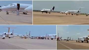 Buhari’s son's wedding: People react as over 25 private jets take over Kano Airport