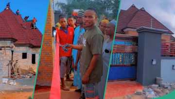 Solar security lamp: Man builds house, installs Gerard stone coated roof, uses automatic gate