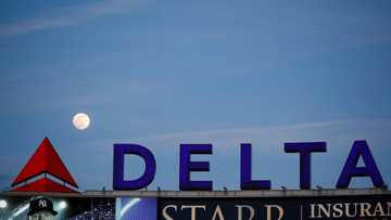 Delta sees strong demand persisting as it reports loss