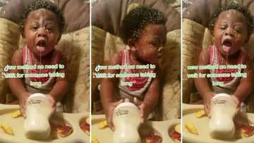 Video of sneaky baby drinking and wasting formula leaves SA laughing, TikTok goes viral