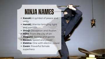 Coolest ninja names for your character: Top picks for ultimate warriors