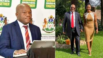 Haibo: Duduzile Zuma-Sambudla pokes fun at Premier Sihle Zikalala, Mzansi reacts