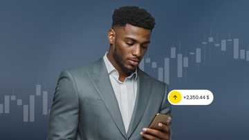 Beware of the bears: Is the crypto momentum at risk?