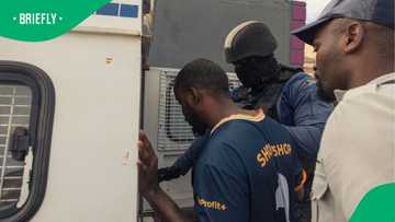 Gauteng police accused of selling freedom to illegal immigrants for bribes