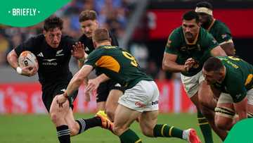 Springboks vs All Blacks match halted after referee’s comms fail in Baltimore