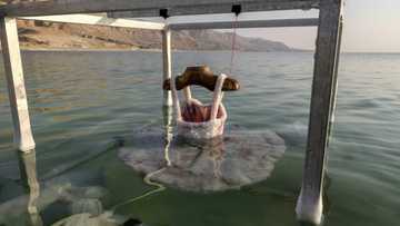 Salt of the earth: Israeli artist's Dead Sea sculptures