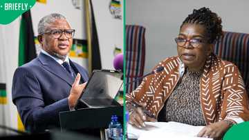 Fikile Mbalula defends Dina Pule's ministerial reappointment, SA accuses ANC of recycling leaders