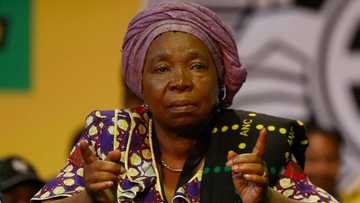 Nkosazana Dlamini-Zuma says she will support the new ANC leadership, Mzansi calls her out for flip-flopping