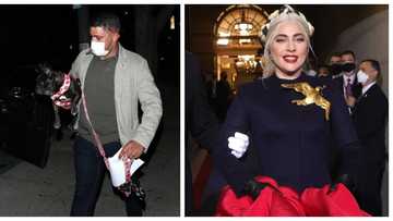 Lady Gaga's dog walker attacked by gunmen, bulldogs stolen