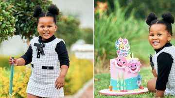 Sithelo Shozi, MaMkhize, Tamia and Andile Mpisane celebrate baby Flo's 'Baby Shark' themed bday with cute posts