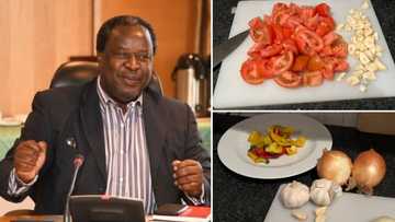Mzansi in awe of Tito Mboweni's amount of garlic and tomatoes in his latest cooking