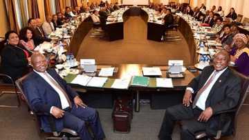 Fikile Mbalula posts pic of 'government', gets roasted: "Old age home"
