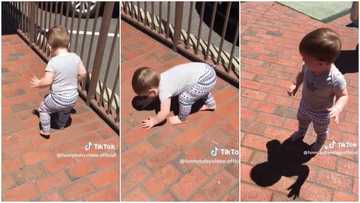 "Poor baby": Kid runs away from his shadow, video shows him crying in dad's presence