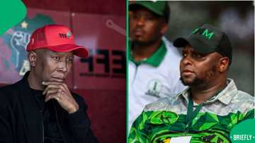 Julius Malema reacts to Floyd Shivambu's demotion from Secretary-General to MP