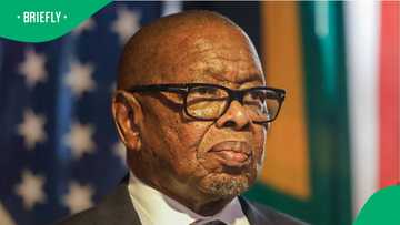 Blade Nzimande announced desire to step down from government duties: South Africans react