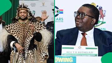 AmaZulu King fires traditional Prime Minister Thulasizwe Buthelezi, South Africans support decision