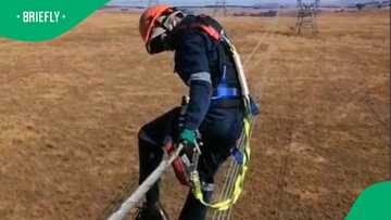 "Salary better match the danger": Man hangs on tall electric cable in risky job in TikTok video, SA floored