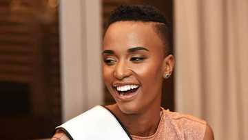 Zozibini Tunzi shows off stunning outift, pics leave SA speechless