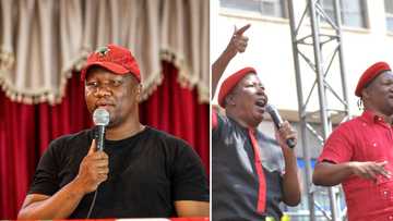 EFF accuses senior IFP leaders of plotting to kill Secretary-General Marshall Dlamini, Mzansi doubts claim