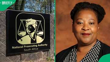 NPA files complaint against magistrate in the Joe Sibanyoni extortion and money laundering case
