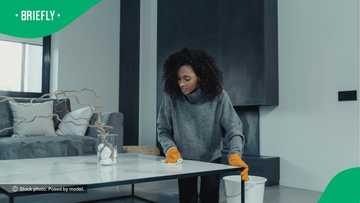 "It depends on who you work for": Salaries of Zimbabwean domestic workers in SA stir debate