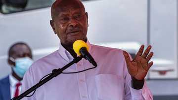 Museveni apologises over son's Twitter rant on Kenya