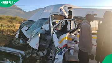 Limpopo scholar dies after minibus taxi collides with truck near Lebowakgomo, 14 others injured