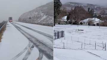 Freeze frame: South Africans react to photos of heavy snowfall in the Eastern Cape