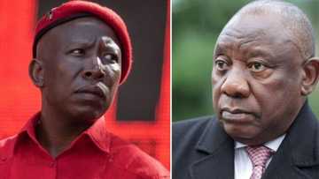 EFF says Ramaphosa is not fit to speak at SONA and promises to interrupt, SA reacts: "Stop these hooligans"