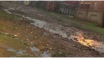 South Africans shook - photos of terrible roads in Gauteng revealed