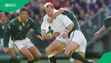 Bob Skinstad sends strong message to Springboks after All Blacks defeat