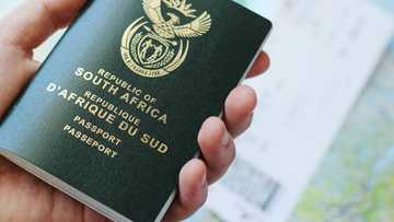 ID and passport applications at FNB and other banks in 2024: detailed breakdown