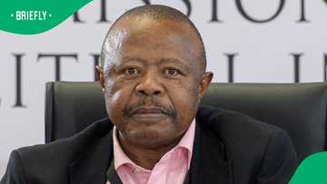 Gauteng Traffic Chief Mashaba placed on suspension