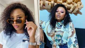 DJ Zinhle expresses concern: Working with a fake news spreader