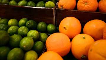 Higher US food prices lead to a shift in shopping habits