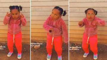 Little girl pulls off the scary 'Kilimanjaro' dance challenge, video divides Mzansi