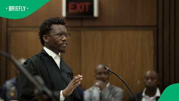 Advocate Tembeka Ngcukaitobi appointed acting Constitutional Court judge