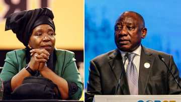 Nkosazana Dlamini-Zuma explains why she defied ANC orders and voted for President Ramaphosa to be impeached