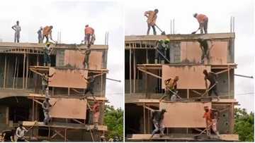 "Men at work": Happy labourers sing in joy while hustling under hot sun, video goes viral