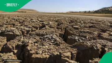 SA worried as climate warning projects 1,200 heat-related deaths due to upcoming El Niño