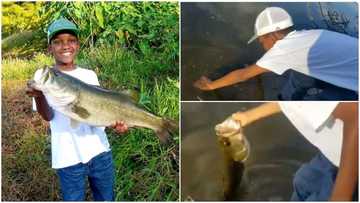 Video shows kid returning big fish to the river, people say he's not hungry