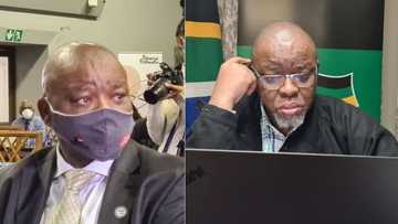 Gwede Mantashe to alliance partners: Embrace radical economic transformation