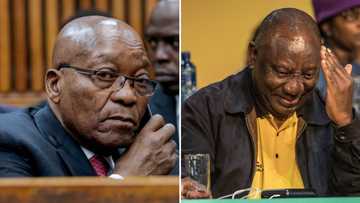 "Losing beke le beke": South Africans react to Ramaphosa's successful interdict against Zuma